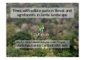 Trees with edible parts in forest and agroforests in Jambi landscape