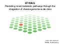STRING - Predicting novel metabolic pathways through the integration of diverse genome-scale data