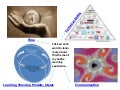 Jenkins evolving themes in online learning 2011