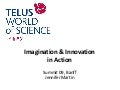 Imagination and Innovation in Action