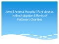 Jewell Animal Hospital Participates in the Adoption Efforts of PetSmart Charities