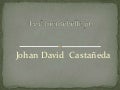 Jhoan david castañeda 801 jm