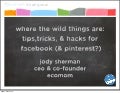 Jody Sherman w/ ecomom @ MamaBear Conference, Mt. View 4/20