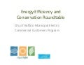 City of Buffalo Municipal Electric Commercial Customers Program