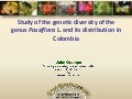 Study of the genetic diversity of the genus PassifloraL. and its distribution in Colombia