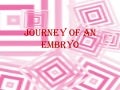 Journey of an embryo...development biology