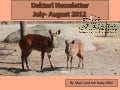 Daktari Newsletter July-August 2012