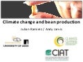 Julian R - Climate Change and Bean production