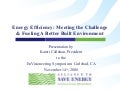 Energy Efficiency: Meeting the Challenge & Fueling A Better Built Environment