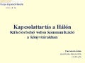 Kapcsolattartás a Hálón