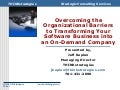 THINKstrategies Software Business 2008 Presentation