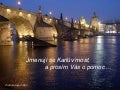 Karluv most volá o pomoc