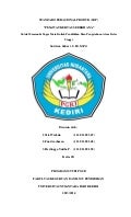 Karya pesawat kertas