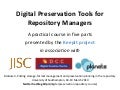 KeepIt Course 4: Putting storage, format management and preservation planning in the repository