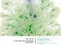 Key Events in Australian (Micro-)Blogging during 2010