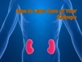 Taking care of your kidneys