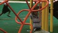 Kids In Distress Fort Lauderdale gets a visit from the Fraud Dog and Buster