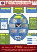 Are bats and rodents reservoirs of emerging zoonotic diseases?