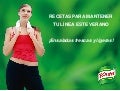 Recetas de verano - Knorr España 