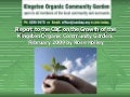Report to CBC on the growth of the Kingston Organic Community Garden, Canberra. February 2009