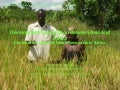 Development Cooperation Between Asia and Africa - Contribution toward a Green Revolution in Africa