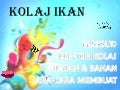 Kolaj ikan