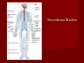 Koordinasi badan