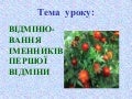Урок відмінювання іменників І відміни