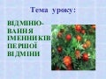 Відмінювання іменників І відміни