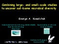 George Kowalchuk: Combining Large- and Small-Scale Studies to Uncover Soil-Borne Microbial Diversity