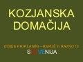 Kozjanska domačija