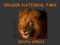 Kruger National Park - South Africa