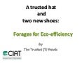 A trusted hat and two new shoes: Forages for Eco-efficiency