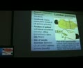 L1a organization of nervous system clinicals   part 2