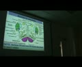 L5 Brain Stem Part 2