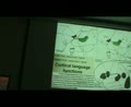 L8 Cerebral Cortex4-5 Temporal Lobe- Dominance-Disconnect Dr Sanjoy Sanyalsyndromes