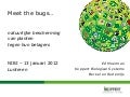 L8 meet the_bugs