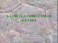 La céLula como unidad de vida