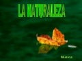 La Naturaleza