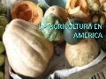 L a agricultura en américa