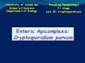 Lab 10  cryptosporidiosis