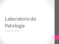 Laboratorio de patologia