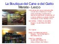La boutique del cane e del gatto