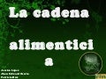 La cadena    alimenticia