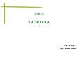 La célula y sus orgánulos