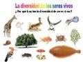 La diversidad de los seres vivos