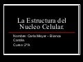 La Estructura Del Nucleo Celular - Candia Meyer