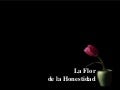 La flor de_la_honestidad_b40