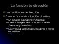 La función de dirección