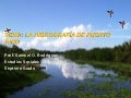 La hidrografía de puerto rico 